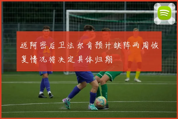 迈阿密后卫法尔肯预计缺阵两周恢复情况将决定具体归期