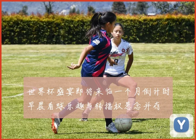 世界杯盛宴即将来临一个月倒计时早晨看球乐趣与转播权悬念并存