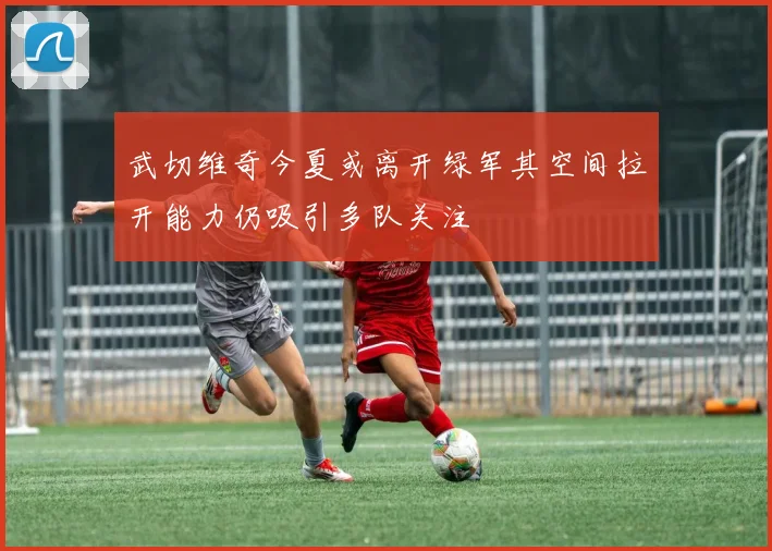 武切维奇今夏或离开绿军其空间拉开能力仍吸引多队关注